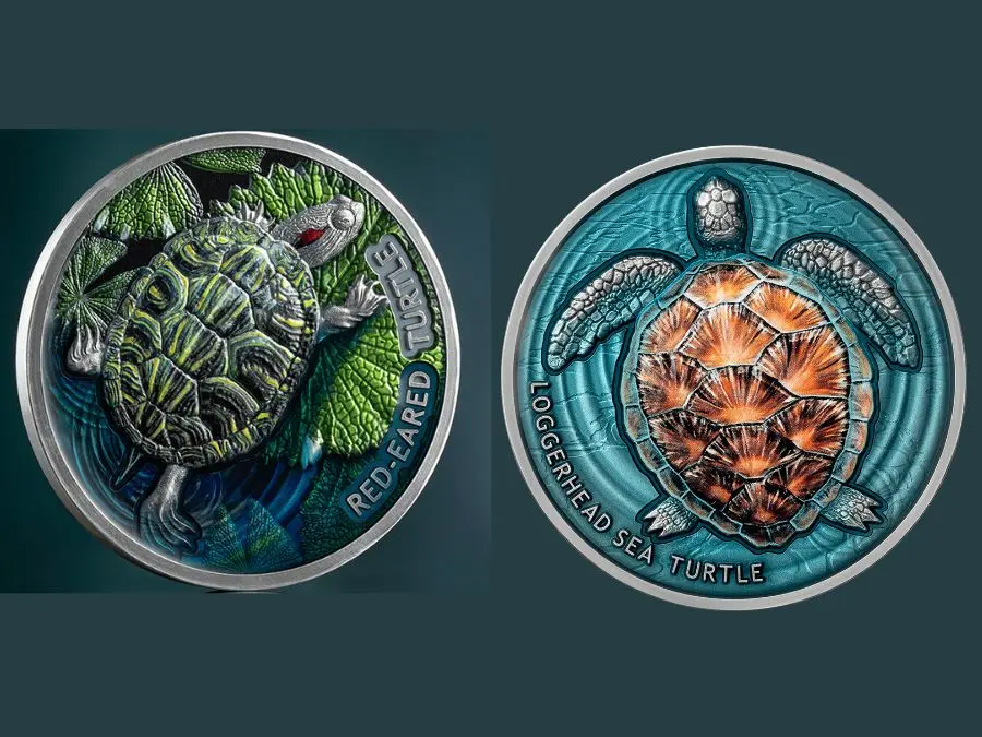 Ví dụ Epoxy Coating