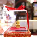 Kim-Hoi-than-tai.webp