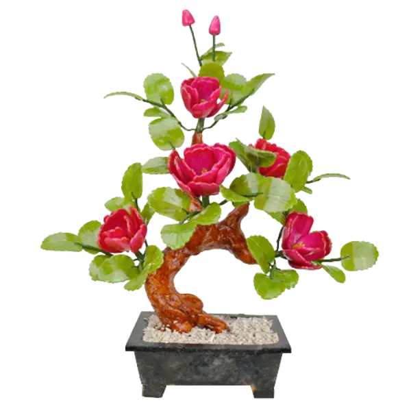 Bonsai Hải Đường 5 Bông