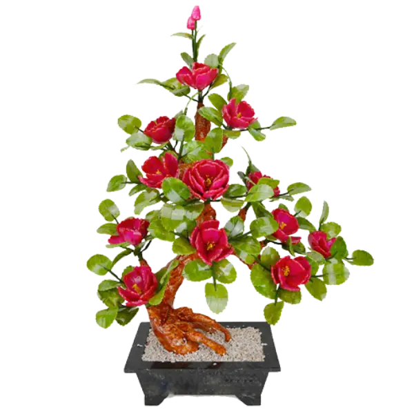 Bonsai Hải Đường 12 bông