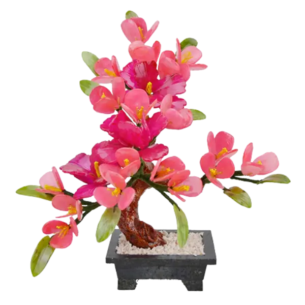 Bonsai Hoa Đào Tiên