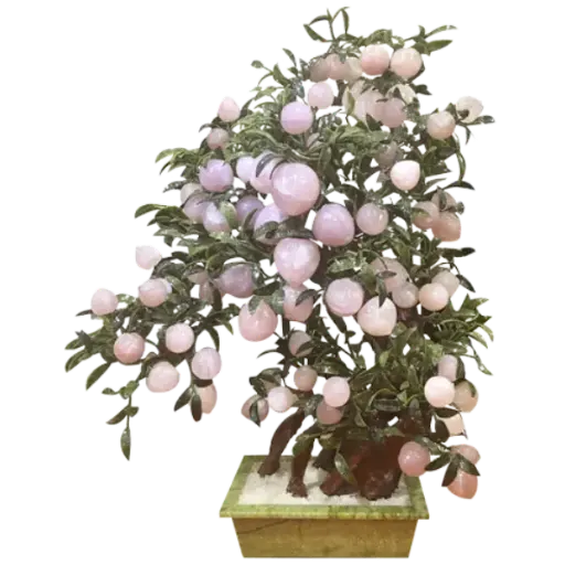 [ADA.T026.088] Bonsai Đào Thạch Anh 88 Quả 088